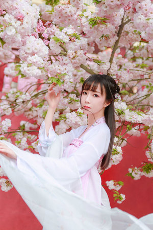bạch thủ lô đề là gì