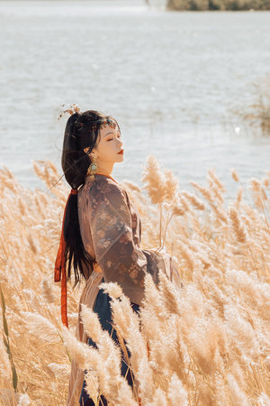 trang tai xiu