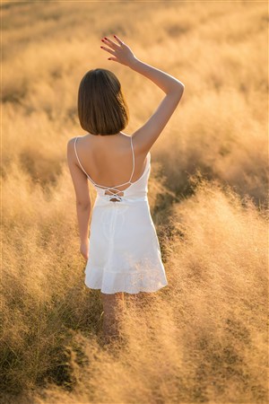 bảng vị xóc đĩa